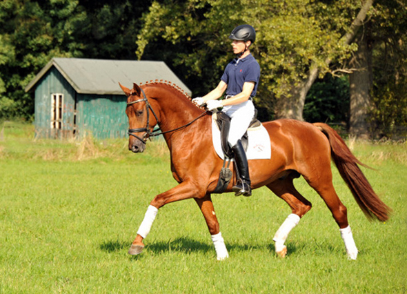 Tudor und Sascha Boehnke - Foto: Beate Langels