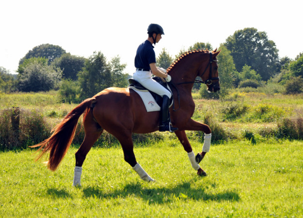 Tudor und Sascha Boehnke - Foto: Beate Langels