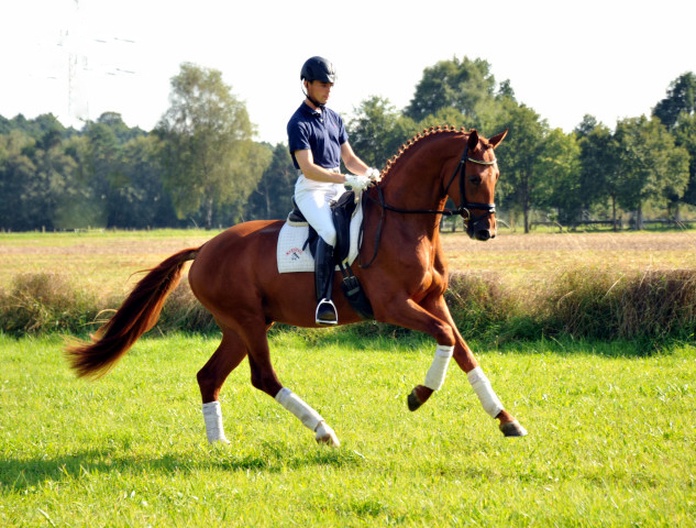 Tudor und Sascha Boehnke - Foto: Beate Langels