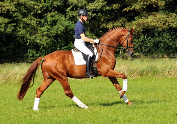 Tudor und Sascha Boehnke - Foto: Beate Langels