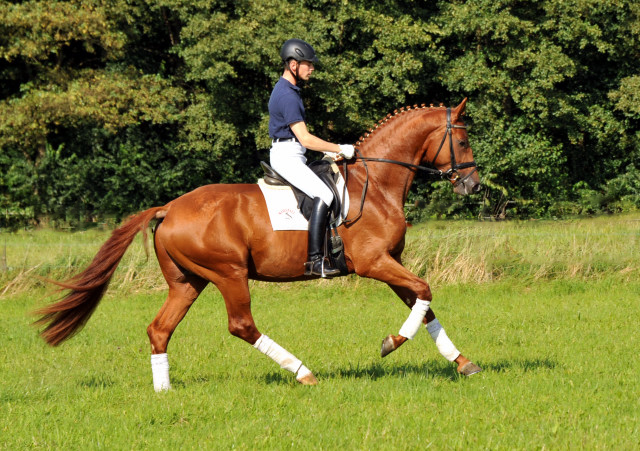 Tudor und Sascha Boehnke - Foto: Beate Langels