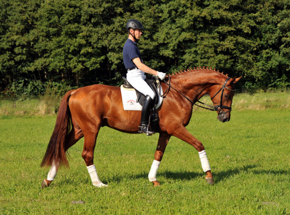 Tudor und Sascha Boehnke - Foto: Beate Langels