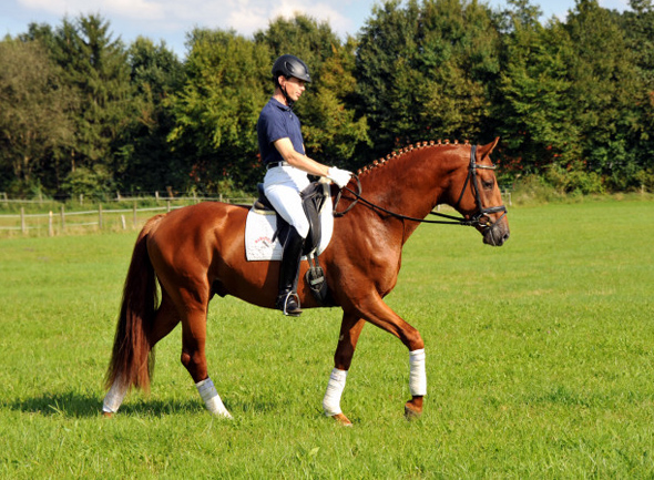 Tudor und Sascha Boehnke - Foto: Beate Langels