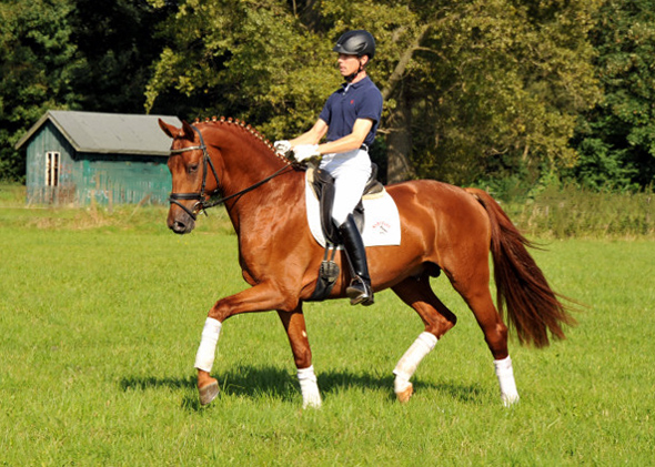 Tudor und Sascha Boehnke - Foto: Beate Langels