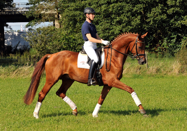 Tudor und Sascha Boehnke - Foto: Beate Langels