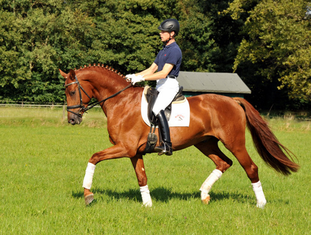 Tudor und Sascha Boehnke - Foto: Beate Langels