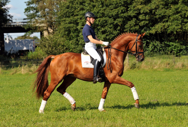 Tudor und Sascha Boehnke - Foto: Beate Langels