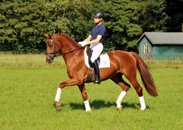 Tudor und Sascha Boehnke - Foto: Beate Langels