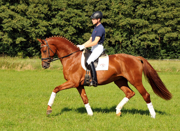 Tudor und Sascha Boehnke - Foto: Beate Langels