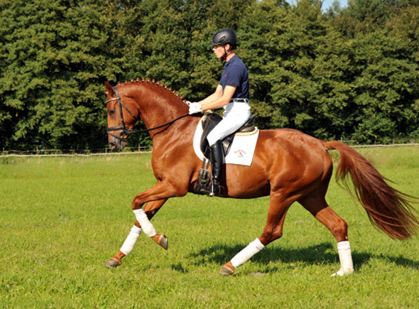 Tudor und Sascha Boehnke - Foto: Beate Langels