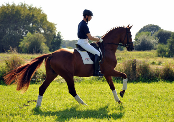 Tudor und Sascha Boehnke - Foto: Beate Langels