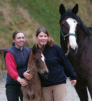 Filly by Enrico Caruso out of St.Pr.St. Tavolara by Exclusiv (1 day old) - with Sarah und Vicki