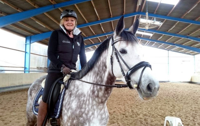 TEATIME von Summertime und KLASSIC BLUE v. Singolo - Foto: Beate Langels - Trakehner Gestt Hmelschenburg