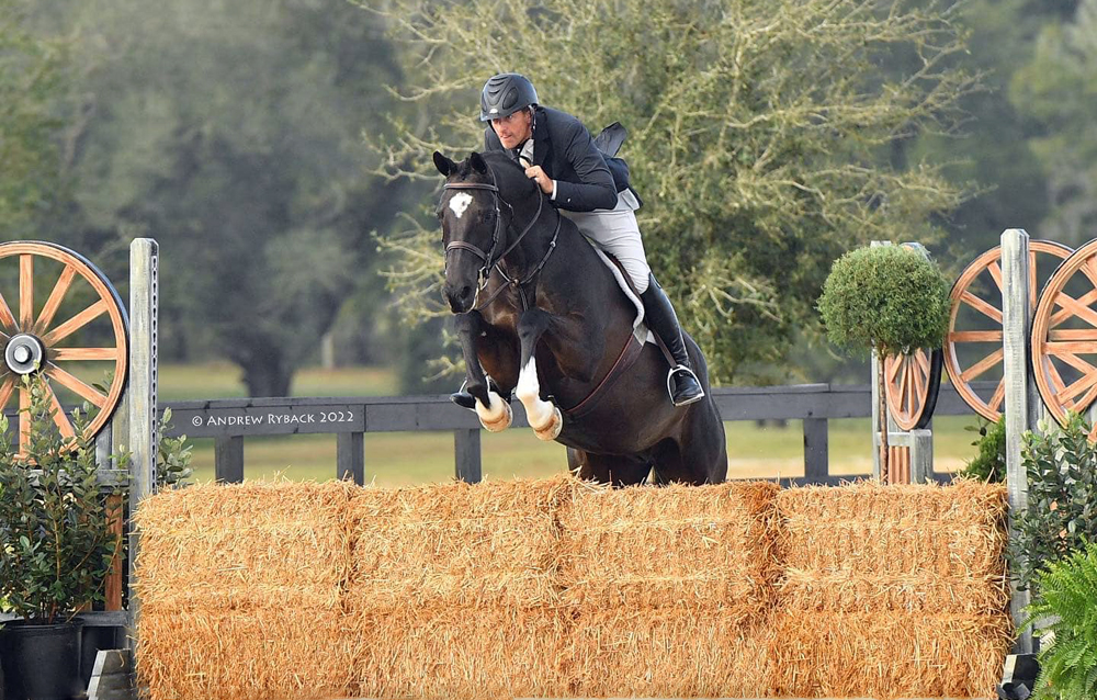 The Irish (fr.Guardiola) Trakehner von Saint Cyr u.d. Greta Garbo - Januar 2022   -
Trakehner Gestt Hmelschenburg, Foto Andrew Ryback