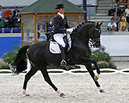 Totilas - aufgenommen von Lune Jancke