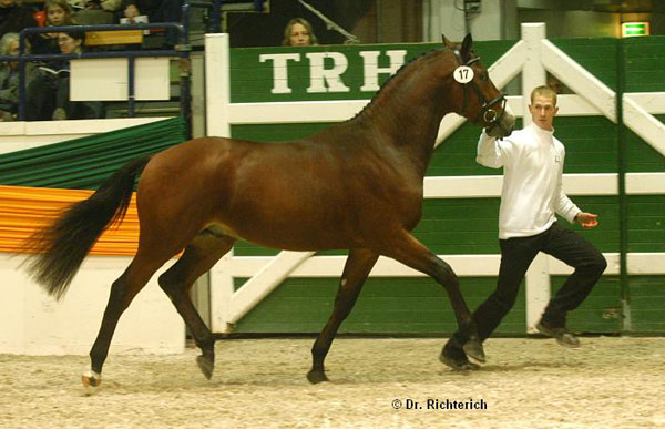 Trzguet von Freudenfest u.d. Tavolara v. Exclusiv, Foto: Dr. Peter Richterich