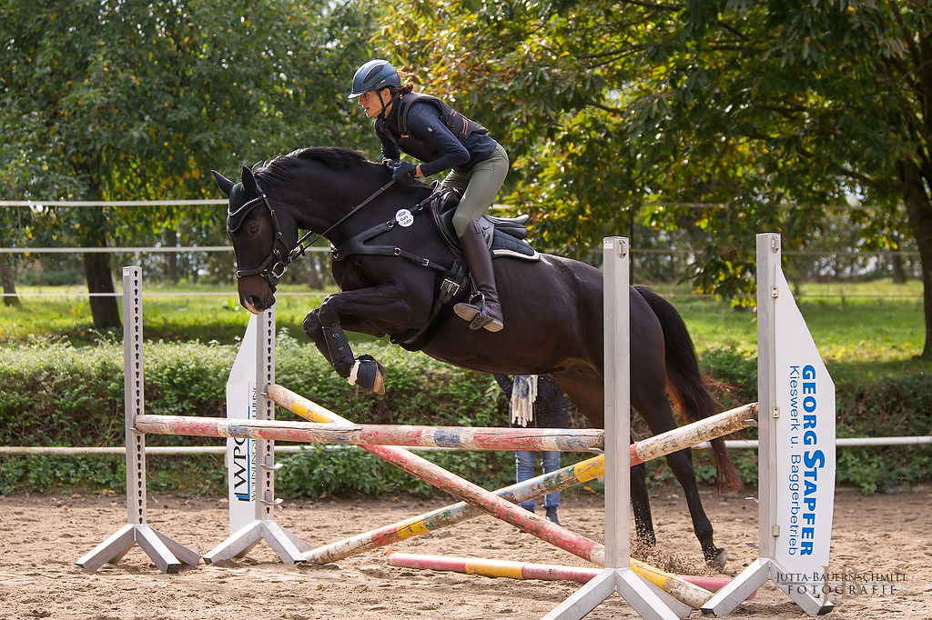 Trakehner Prmienanwrterin Upper class Ziva von Saint Cyr u.d. Pr.St. Under the moon v. Easy Game u.d. Pr.St. Umbra v. 
Herzkristall , Foto: Jutta Bauernschmitt - Trakehner Gestt Hmelschenburg