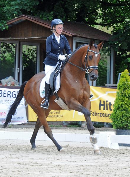 Vino v. High Motion x Exclusiv x Showmaster - Foto Beate Langels - Gestt Hmelschenburg