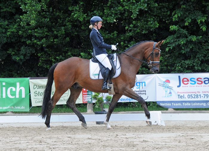 Vino v. High Motion x Exclusiv x Showmaster - Foto Beate Langels - Gestt Hmelschenburg