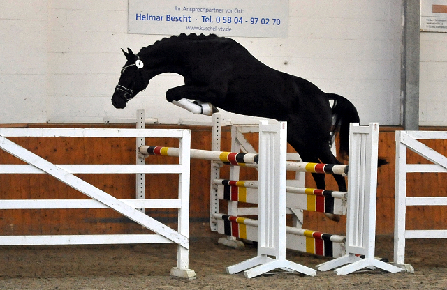 Idealerweise von Mescalero x Songline - Foto Volke Dusche