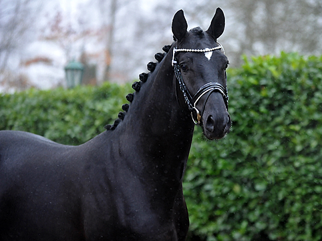 Idealerweise von Mescalero x Songline - Foto Volke Dusche