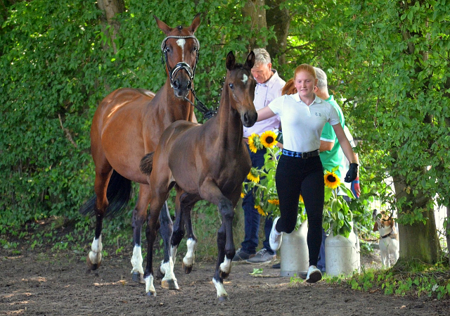 Val de Kallie - Trakehner Filly by Karakallis out of Val de Vienne by Exclusiv - Foto  Pia Elger