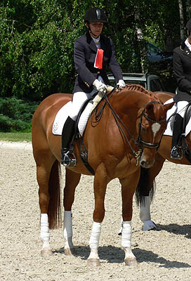 Ventulany von Kostolany u.d. Venus v. Mozart und Stefanie Vollstedt