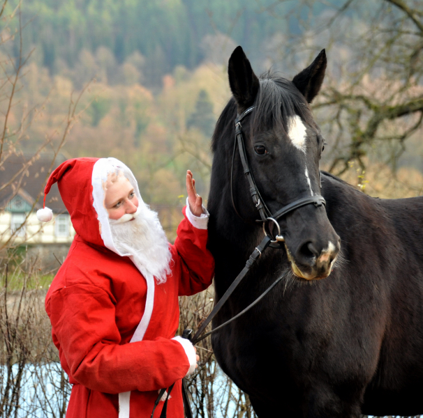 Schwalbenflair von Exclusiv und ihr Sohn Sputnik von Meraldik - Foto: Beate Langels