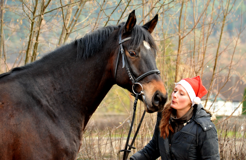 Sputnik von Meraldik u.d. Schwalbenflair von Exclusiv - Foto: Beate Langels