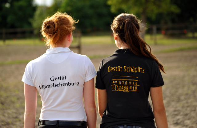 Gestt Schplitz im Juni 2016 - Foto: Beate Langels -  Trakehner Gestt Hmelschenburg