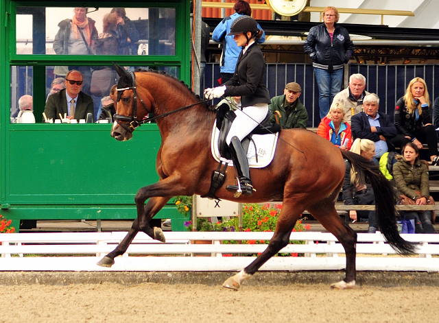 High Motion von Saint Cyr u.d. Pr.u.Elitestute Hanna v. Summertime - Foto: Beate Langels - Trakehner Gestt Hmelschenburg