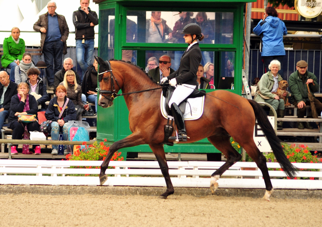 High Motion von Saint Cyr u.d. Pr.u.Elitestute Hanna v. Summertime - Foto: Beate Langels - Trakehner Gestt Hmelschenburg