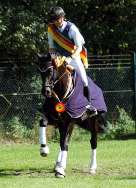 Songline von Summertime u.d. Elitestute Schwalbenspiel v. Exclusiv - Trakehner Gest�t H�melschenburg - Beate Langels