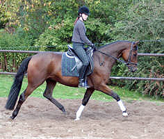 Karlsson by Exclusiv out Kadina by Kostolany (3-years old)