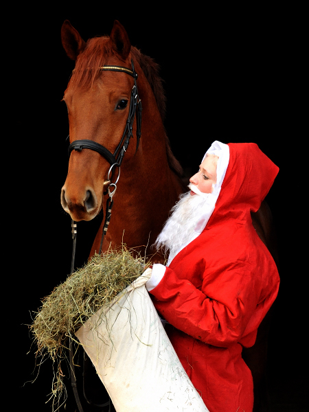 Tudor und der Weihnachtsmann - Foto: Beate Langels