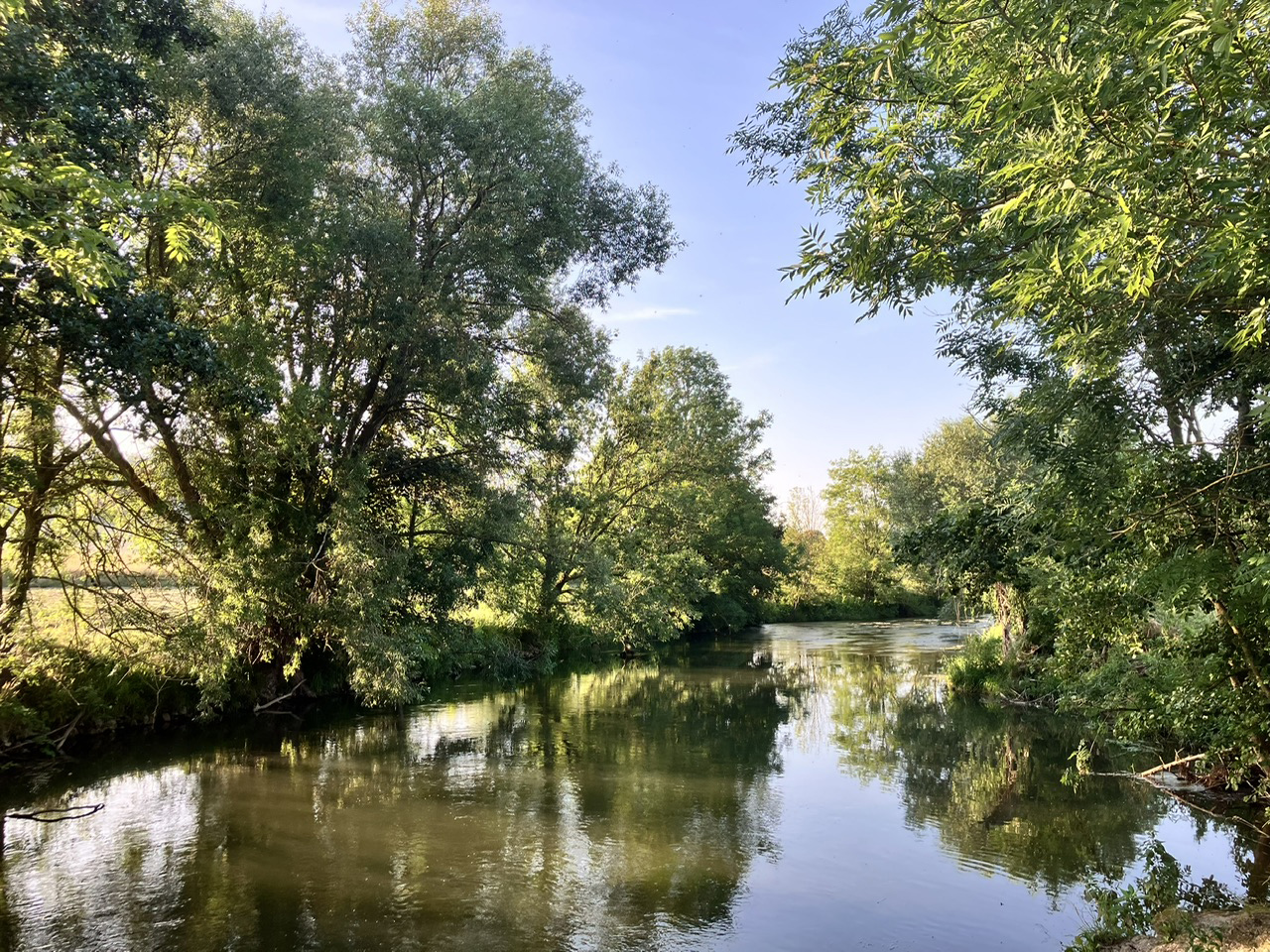 9. Juli 2023 an der Emmer - Foto Beate Langels - Gestt Hmelschenburg