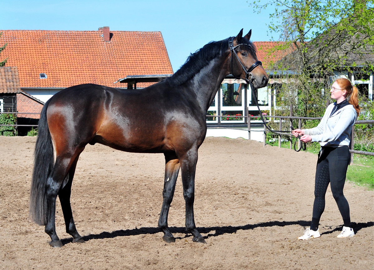 23. April 2026  - Gest�t H�melschenburg - Beate Langels - Foto Beate Langelsr