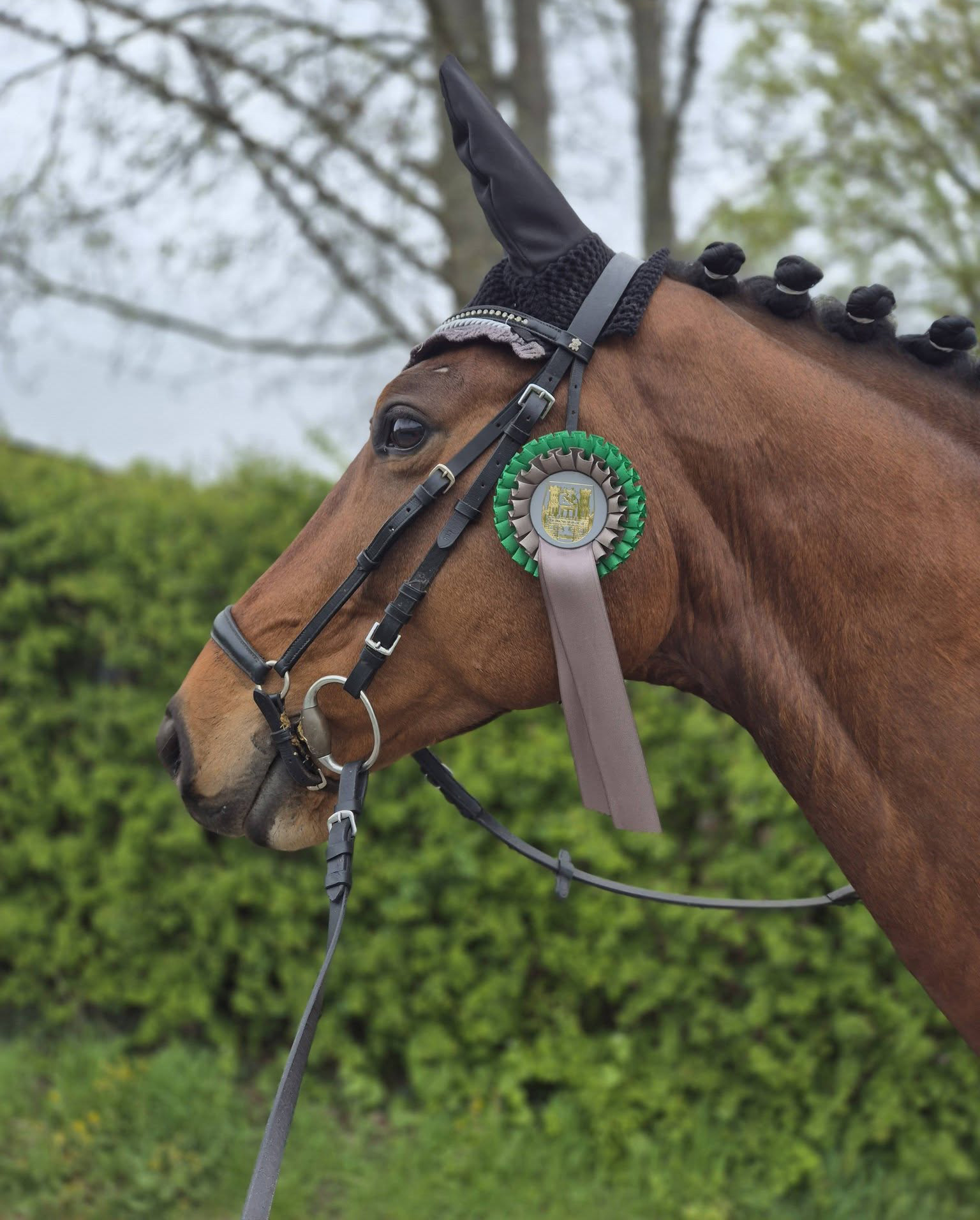 - Trakehner Gest�t H�melschenburg