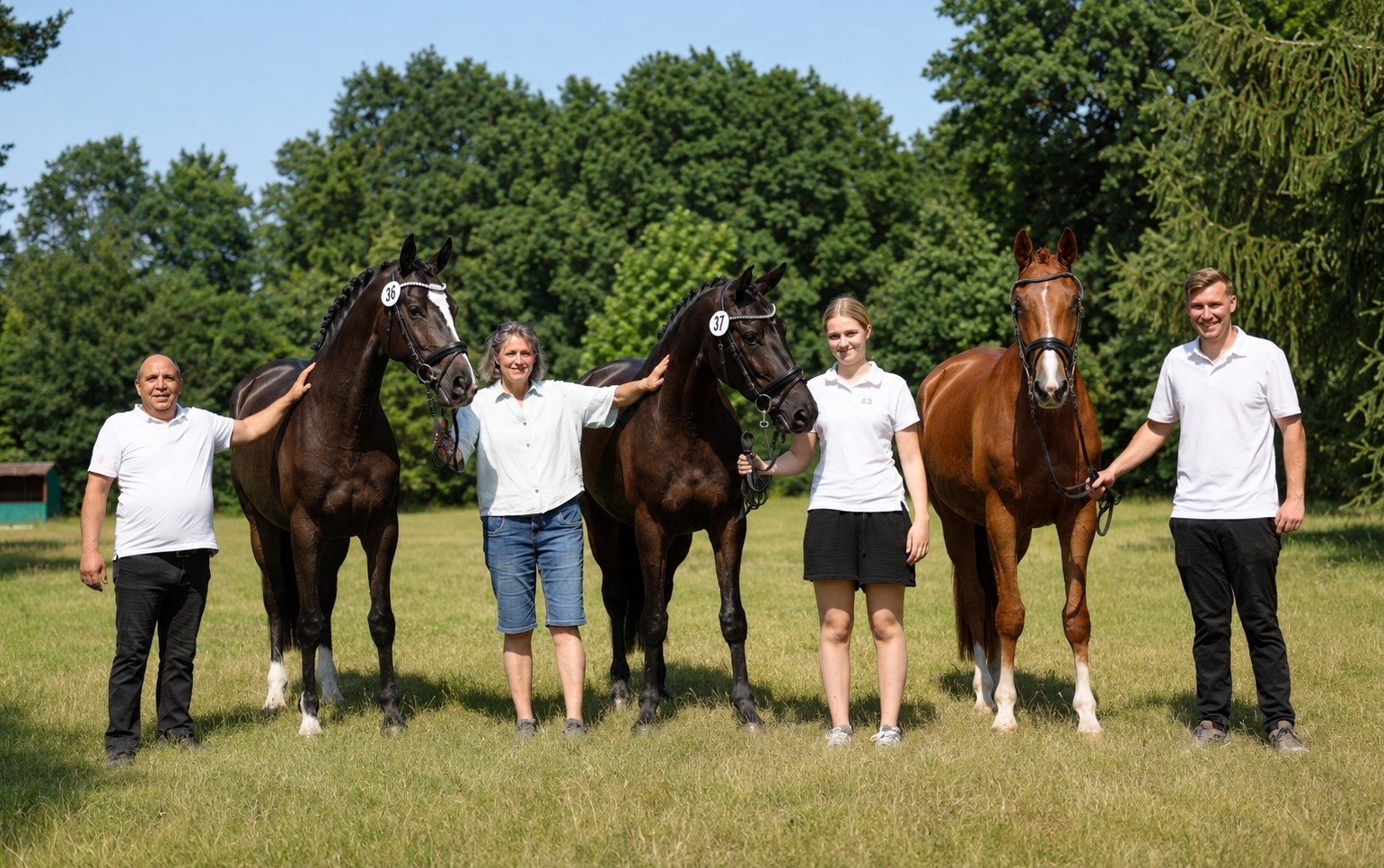 2j�hrige Stuten im Tal der Emmer - 11.Mai 2025 - Trakehner Gest�t H�melschenburg - Foto Beate Langels